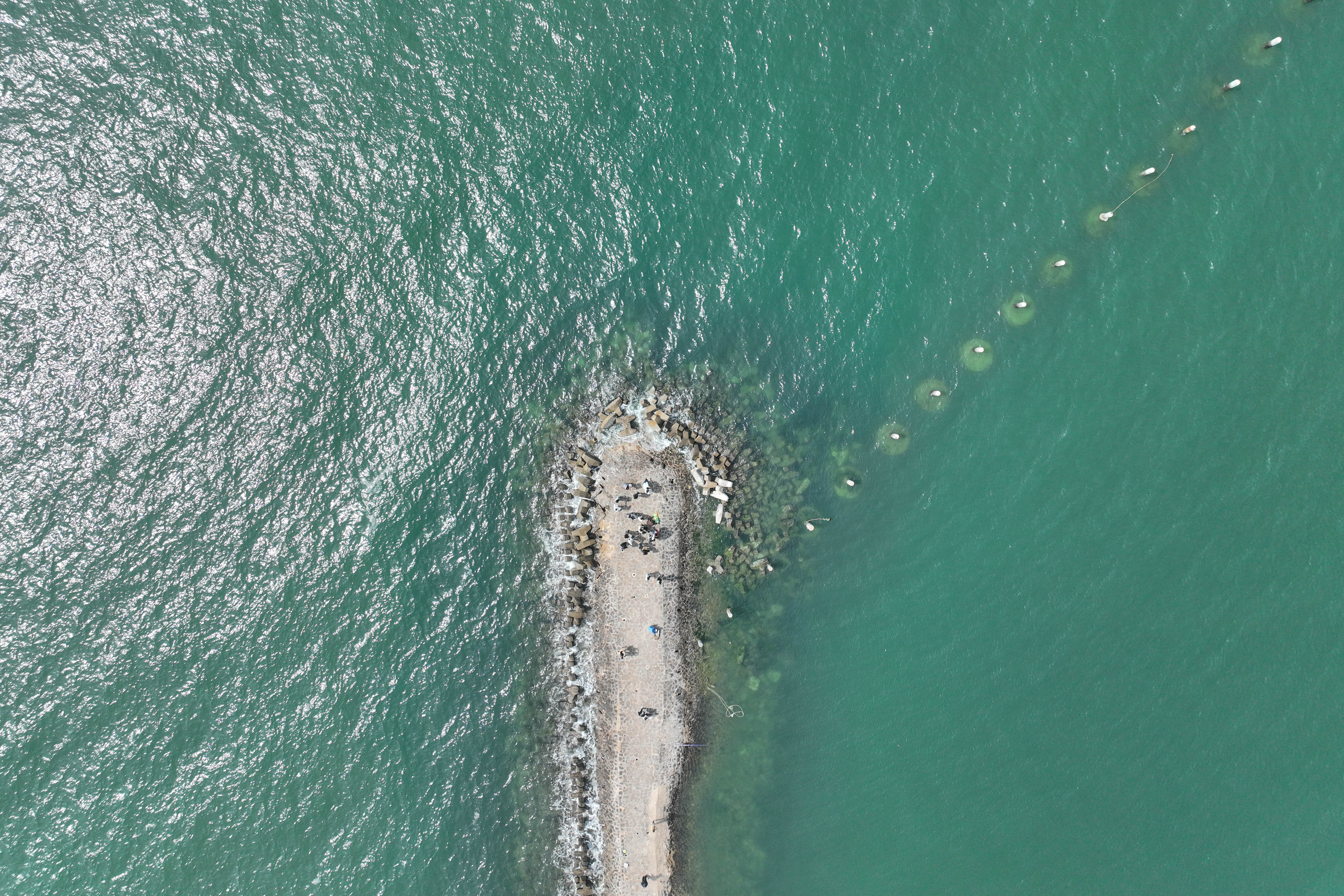 青岛最好的季节是几月,青岛旅游最佳季节时间表最新