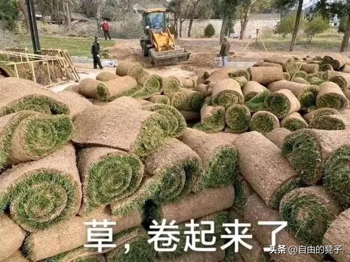 苏州招聘教师有编制吗,苏州吴江备案制教师招聘