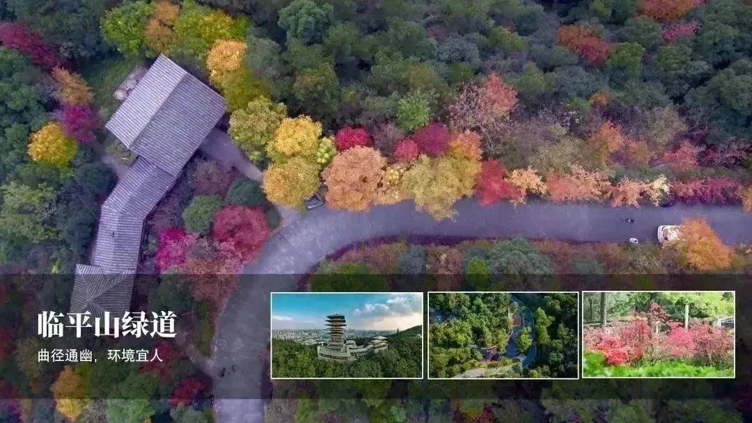 临平五一假期适合去玩的地方,杭州临平区五一假期