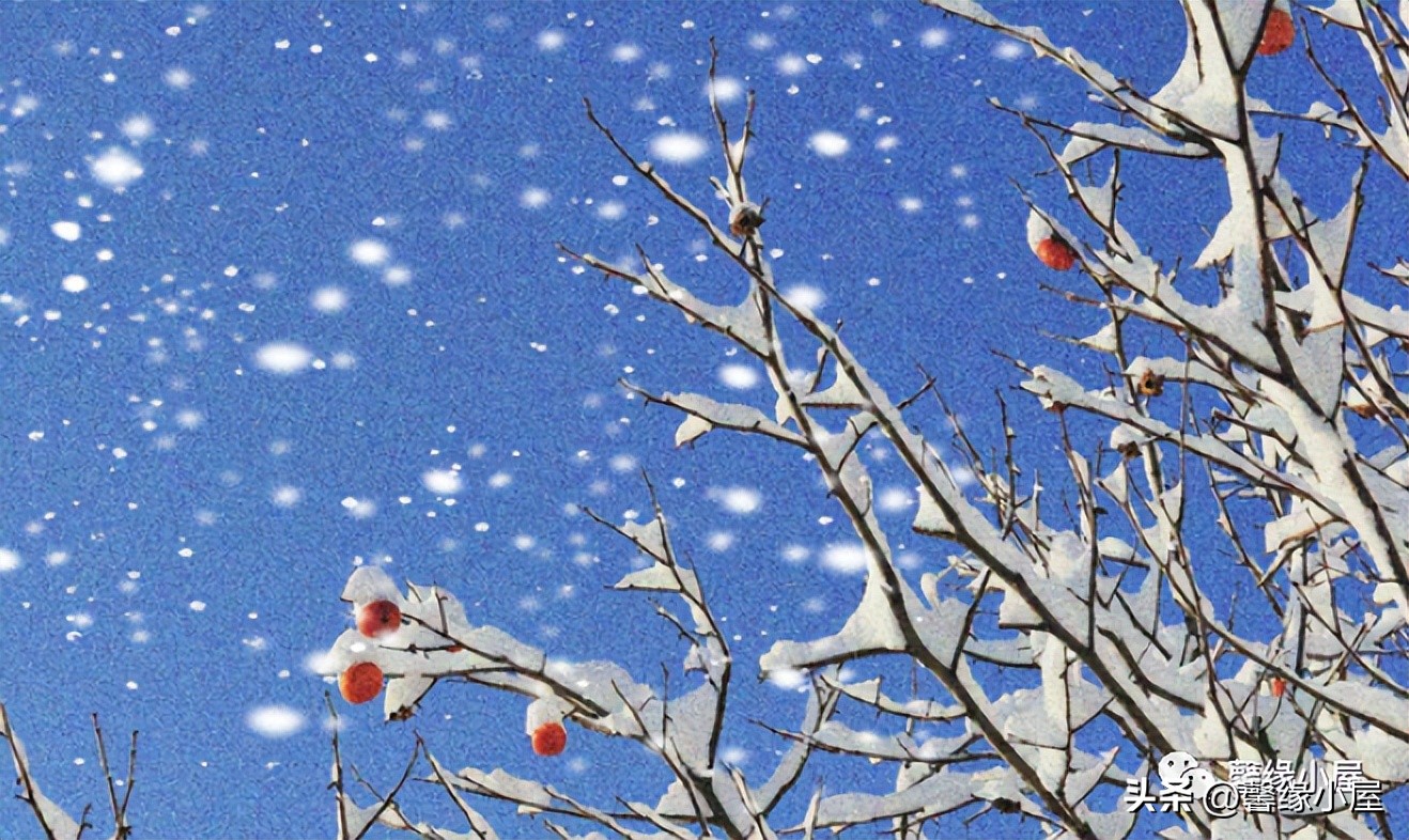 跟女生聊世界杯有哪些问题,老婆聊世界杯