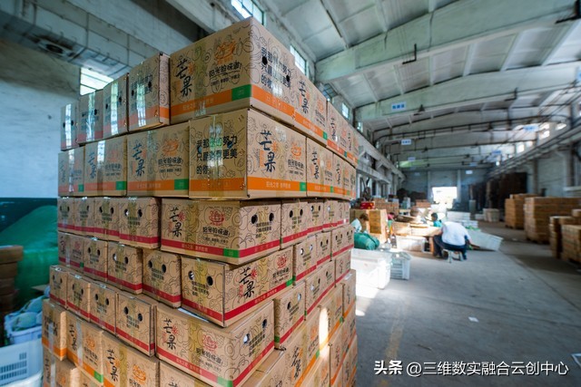 农业发展重点突破,农业创新发展模式