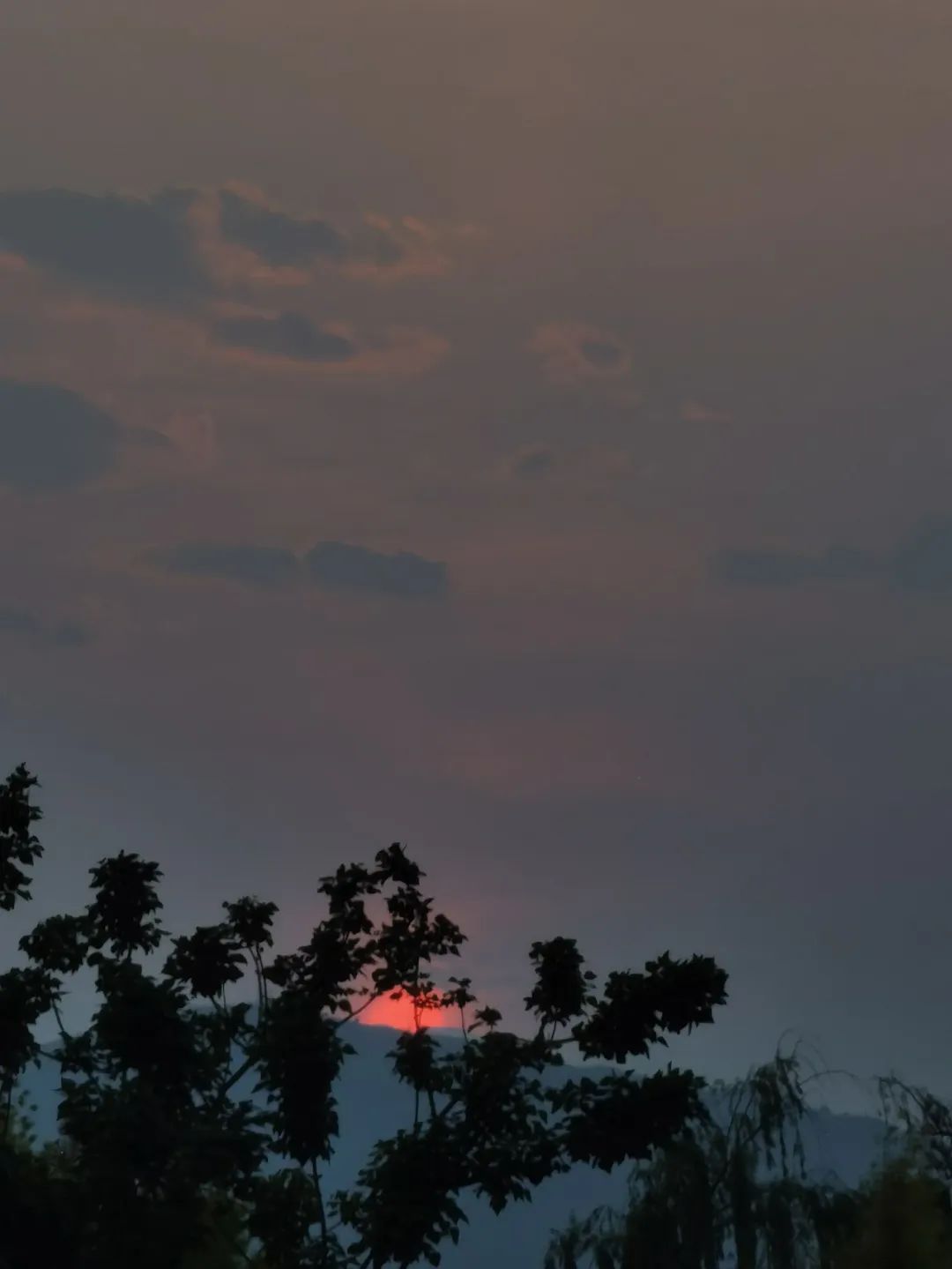 外地朋友来四川吃美食,外地朋友来四川吃苍蝇馆子