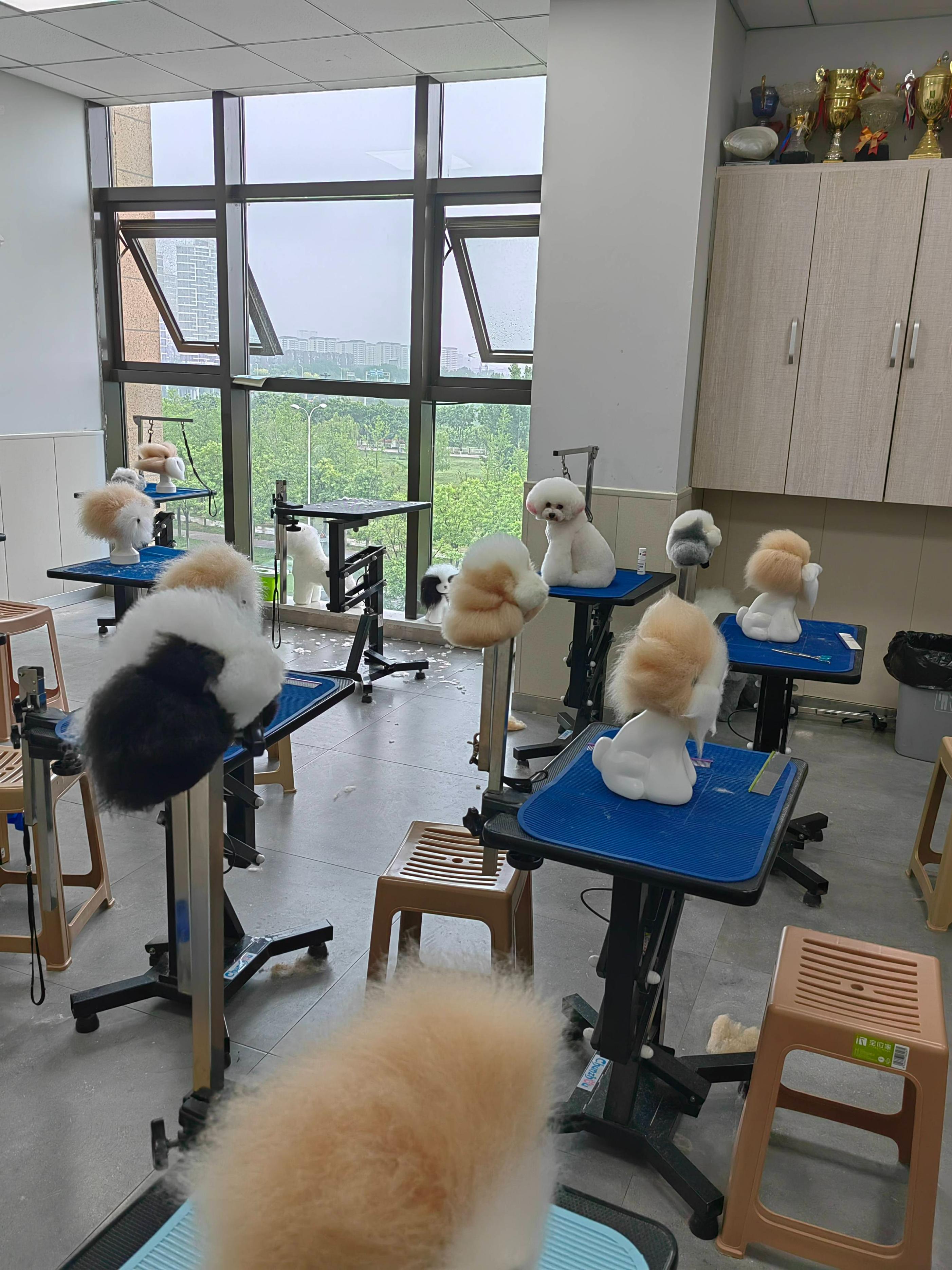 告别IT高薪，37岁二胎妈妈打零工养家