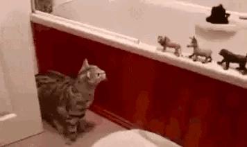 轻松一刻别跟我耍心眼,轻松一刻看你能找出几处不同