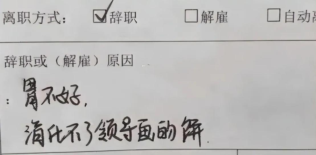 00后辞职信火了告辞,00后傲娇辞职信走红