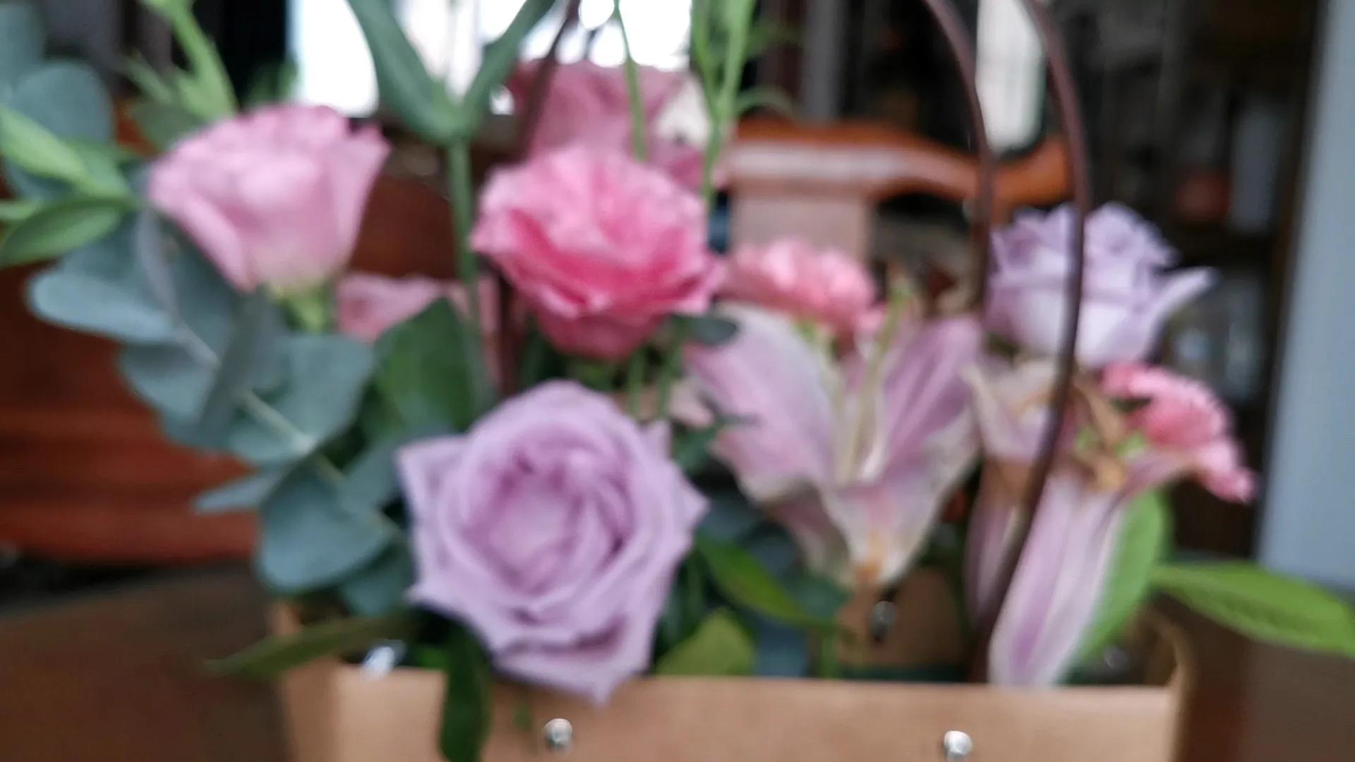 华为鸿蒙系统相机对焦模糊,华为p40pro升级鸿蒙后相机