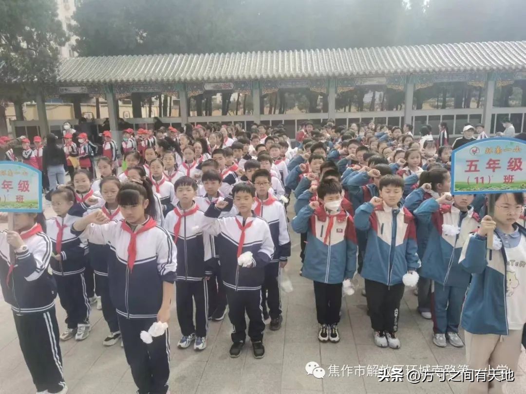 我们的节日清明主题活动情况汇报,我们的节日清明节活动开展情况