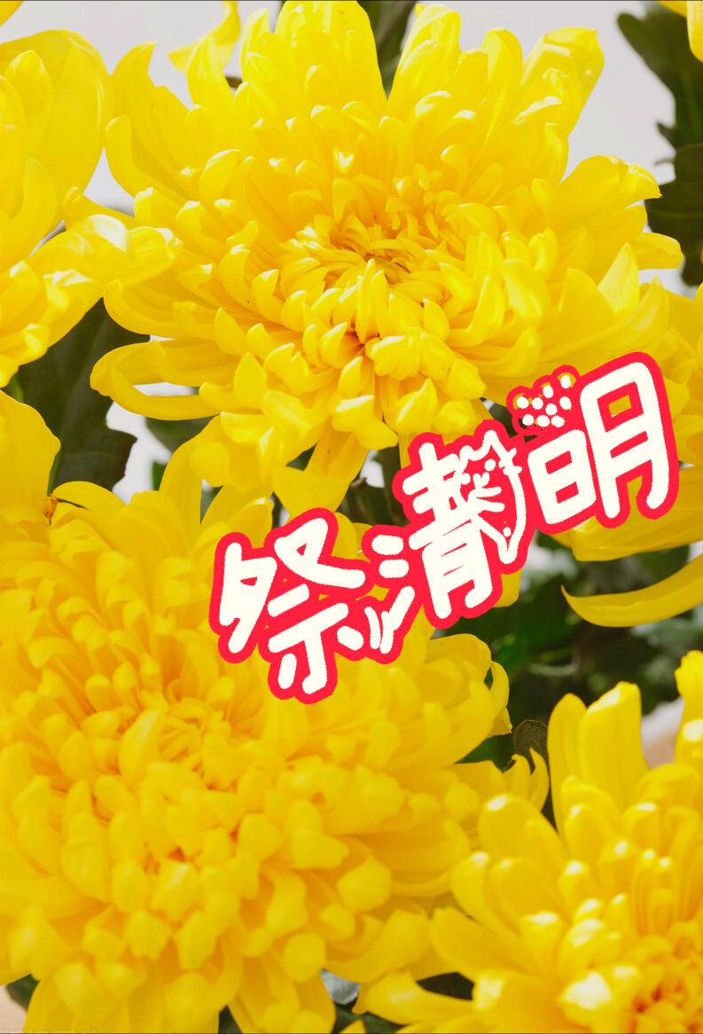 清明节雨纷纷举国上下寄哀思,清明节伤感词思念天堂的父母