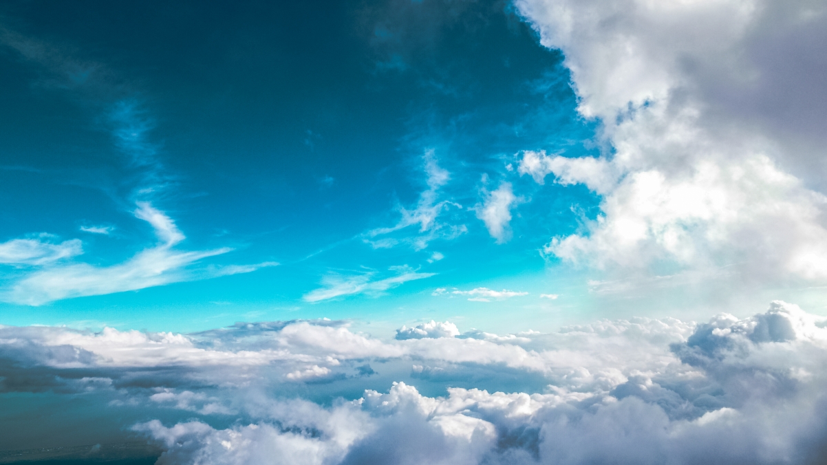 很多蜻蜓低飞是要下雨吗,蜻蜓低飞是下雨吗