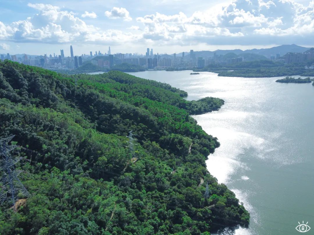 家住深圳必去的公园绿道,深圳环湖绿道好玩么