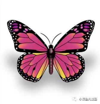 翩翩起舞的蝴蝶,翩翩起舞的蝴蝶造句