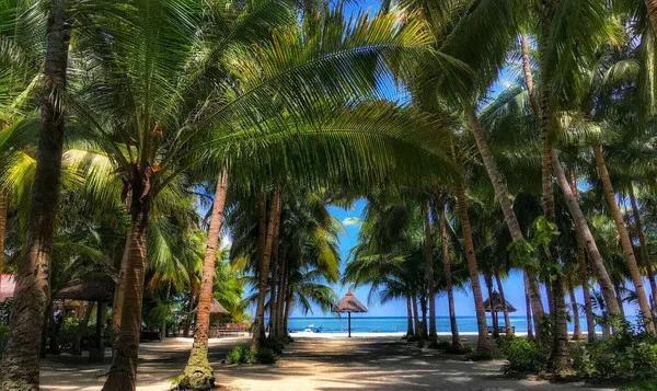 小海螺在海南大学考研：海大的美，不止在风景，还在你们