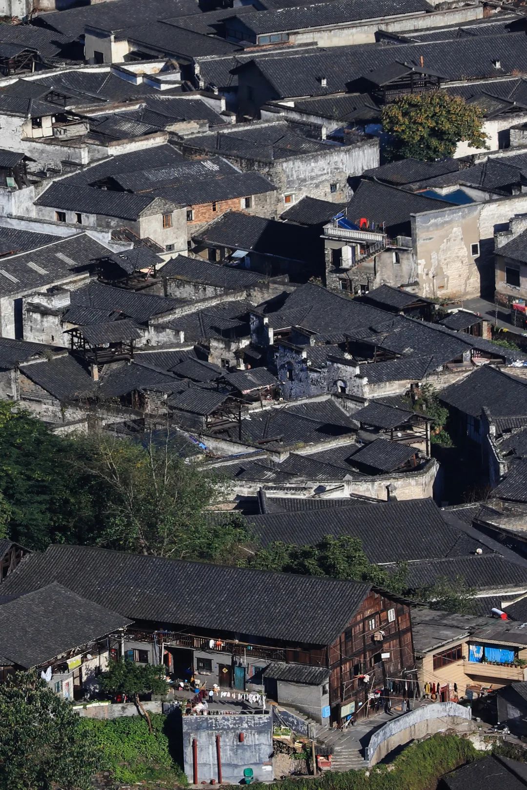 鍘嗗彶涓婇粍閲戠殑鍓嶄笘浠婄敓,榛勯噾姘撮亾鍘嗗彶浜ゆ槗鏁版嵁