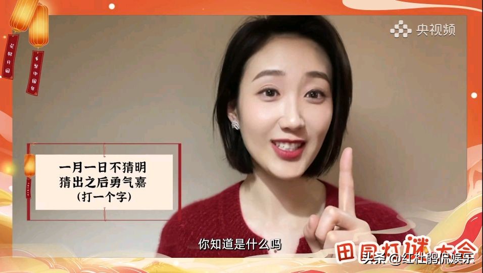 央视灯谜大会,央视谜语大赛直播