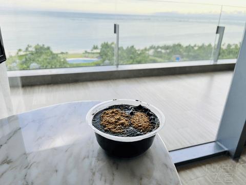 三亚陵水蓝湾绿城威斯汀度假酒店,海南陵水清水湾威斯汀酒店简介