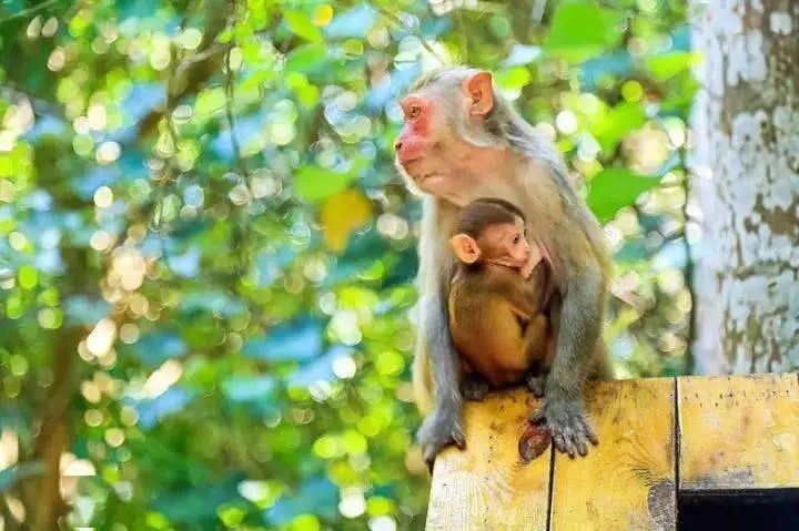 海南晴天的沙滩,海南阳光下的海
