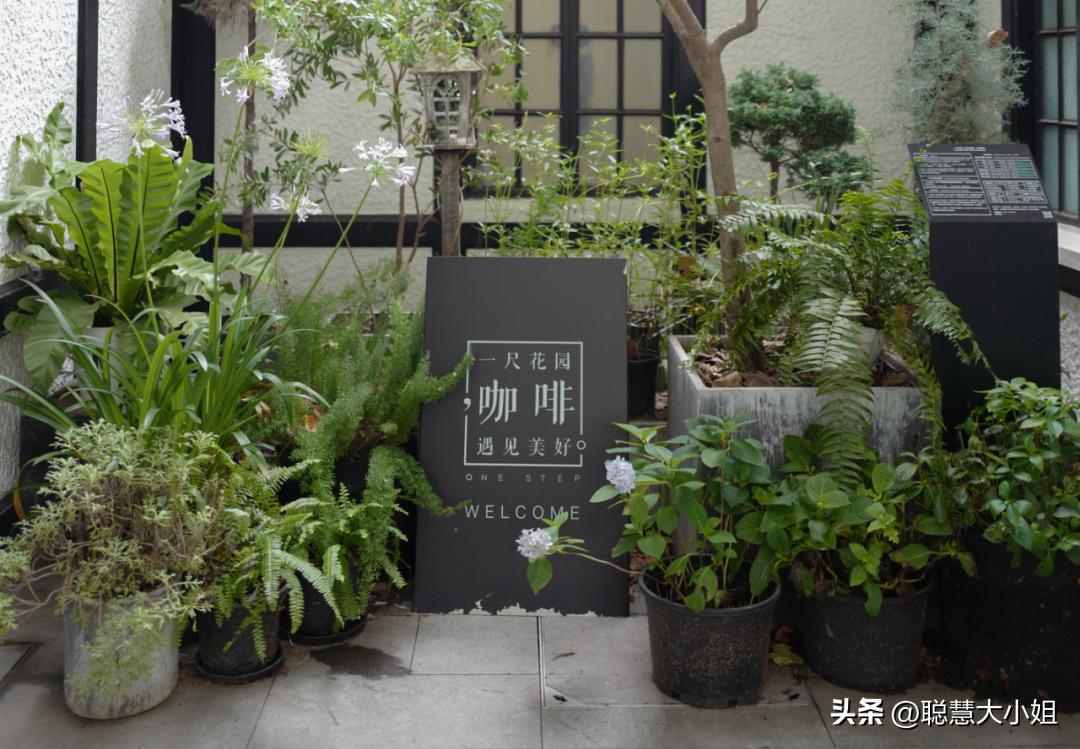 去这条充满松弛感的“小马路”，慵懒地溜达一天才是正经事