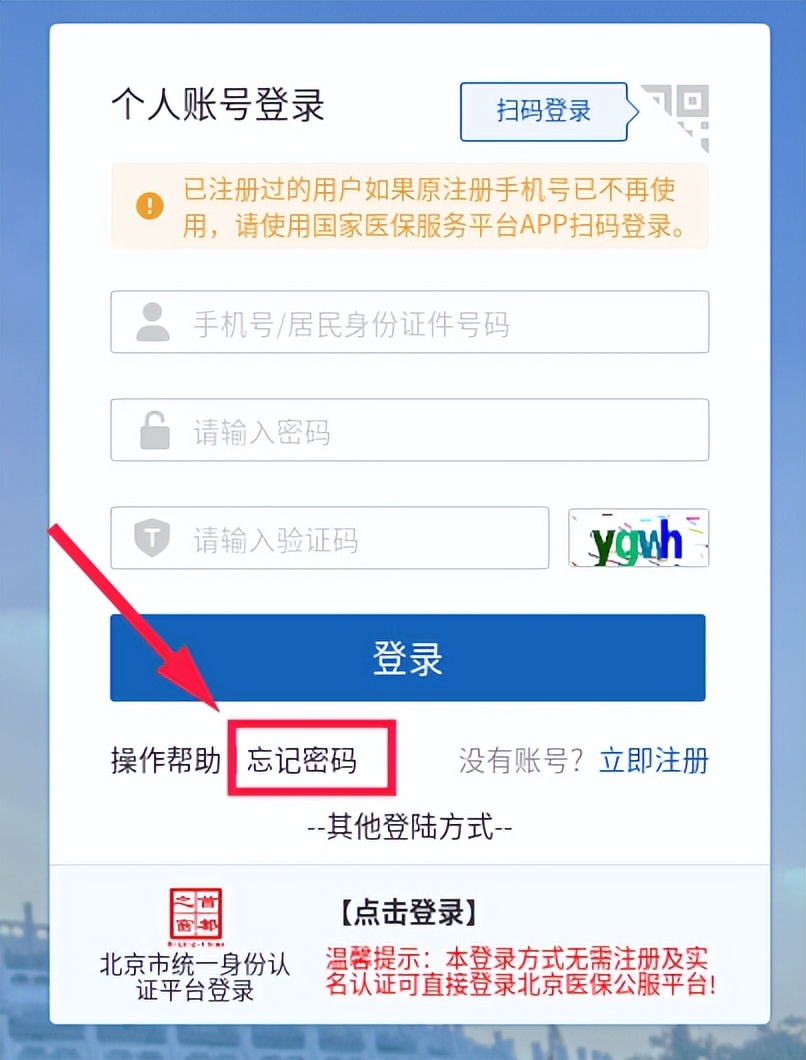武汉养老金个人账户余额查询,查询个人账户余额明细