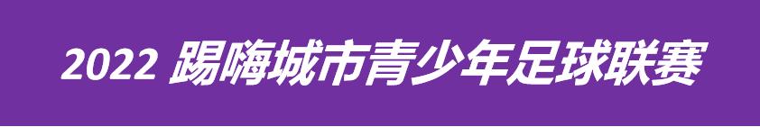 青少年城市足球联赛合肥赛区,2022踢嗨城市青少年足球联赛合肥