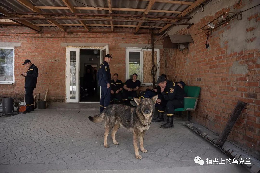 7月2日俄乌战争第494天，乌军在巴赫穆特大举*攻反**，前线最新战况