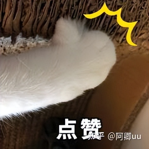 拼多多开店如何推广运营,拼多多开店运营与营销技巧