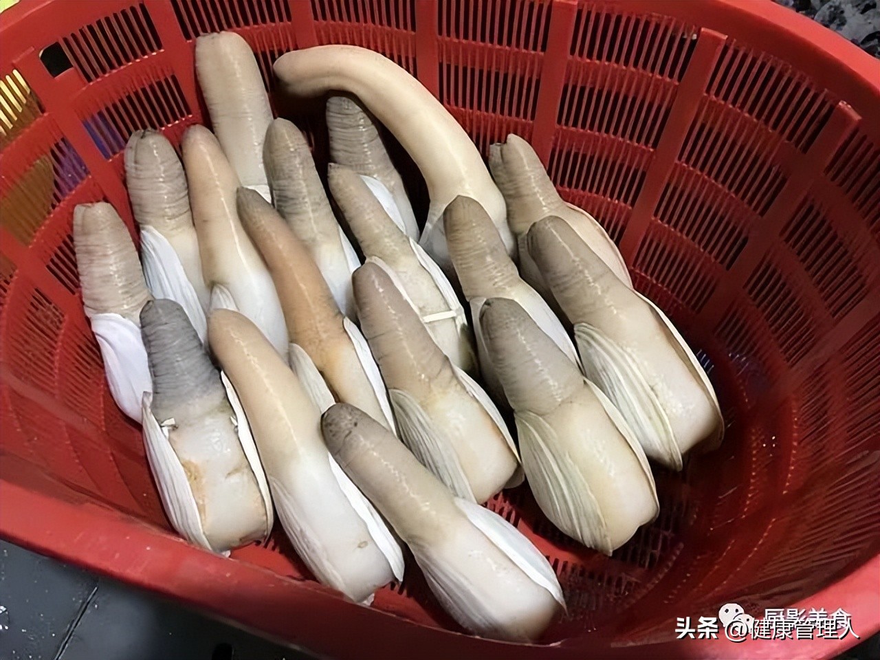 世界顶级海鲜食材,世界顶级的海鲜视频