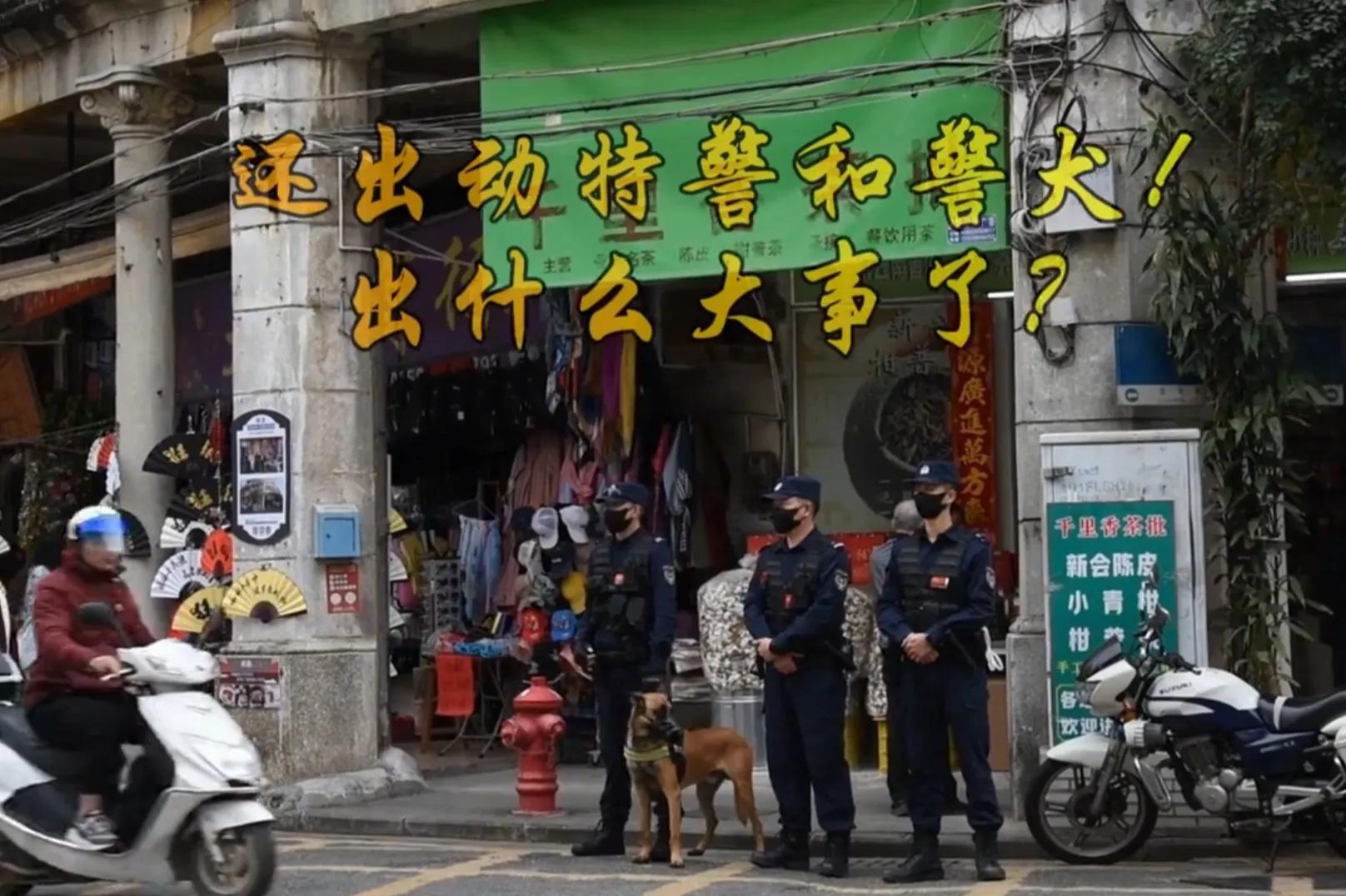 大运狂飙,兔年行大运好运常相伴