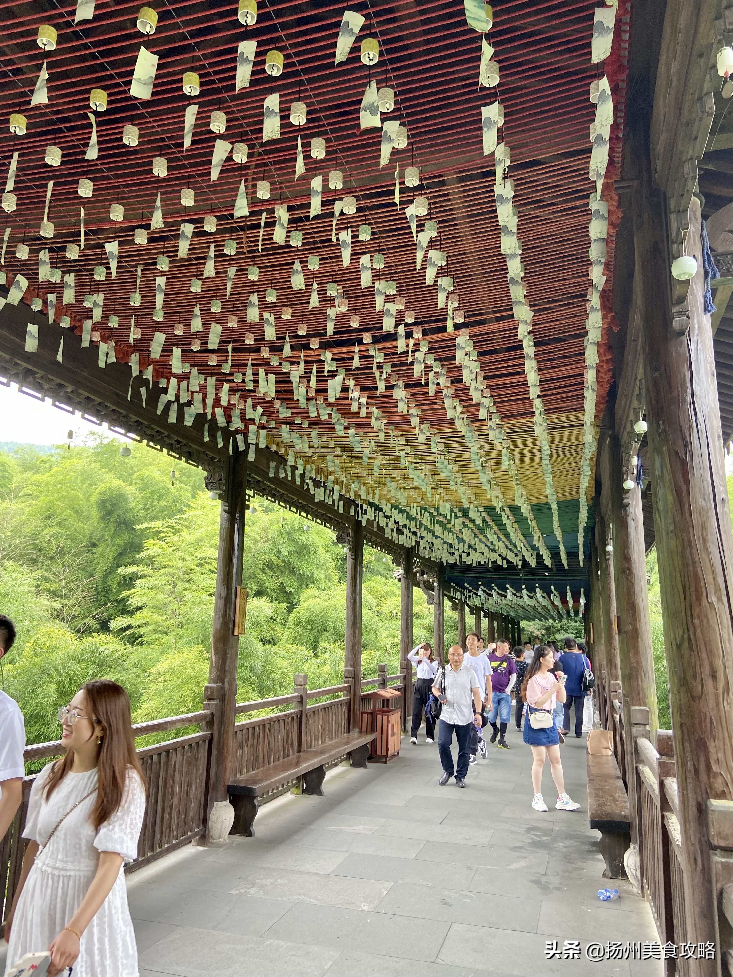 天目湖南山竹海附近游玩,常州天目湖南山竹海免费