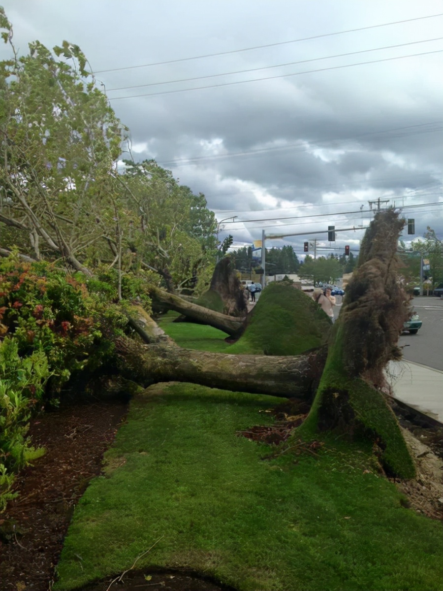 80张神奇偶然瞬间，环形闪电，海蛇和最毒石斑鱼互咬，骑骆驼拍照