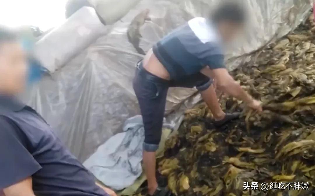 老坛酸菜处于风口浪尖,老坛酸菜这味道才正宗