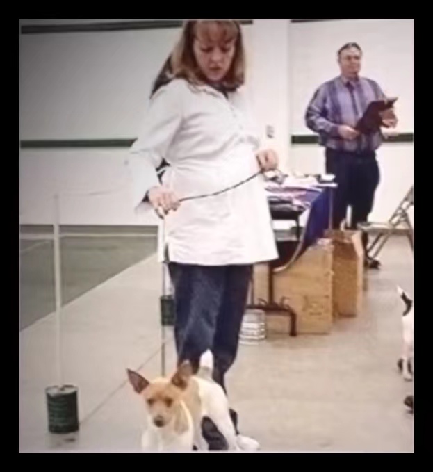 美国1985孕妇被谋杀,美国孕妇被杀案件