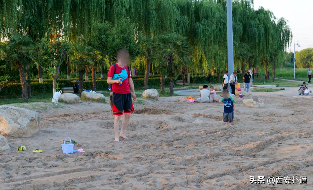 西安最大花海公园,西安周边的自然景观公园