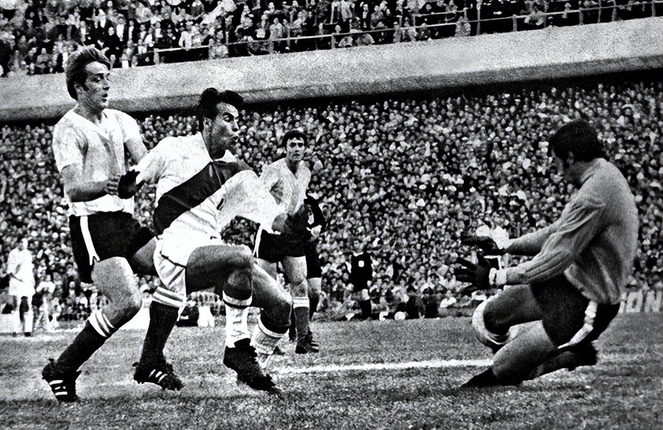 人类历史中没发生过战争的有几年,苏德战争人类历史上最惨烈的战争