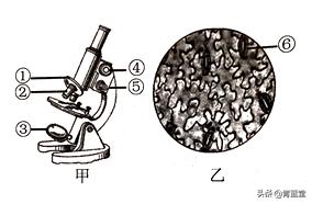 2021年江苏省苏州市初中生物结业考试