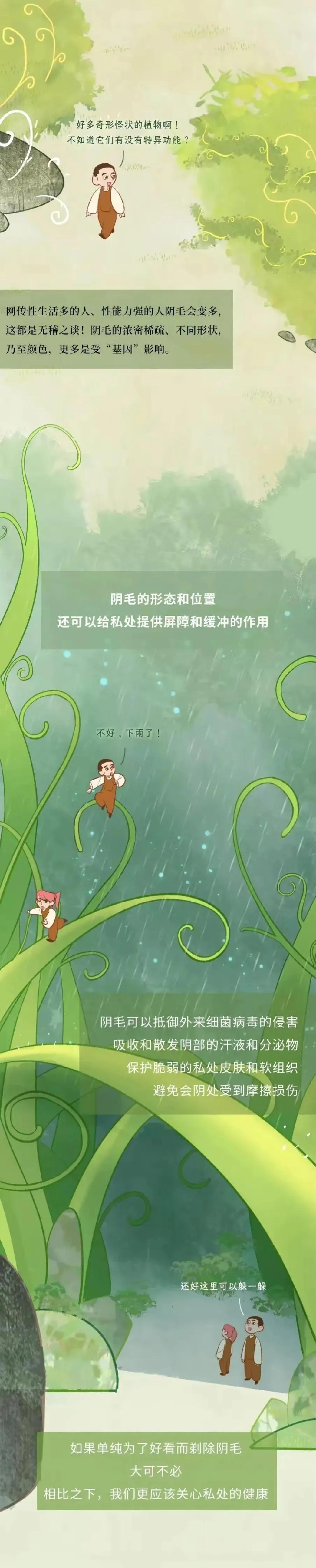 人类阴毛从出生到脱落的全过程