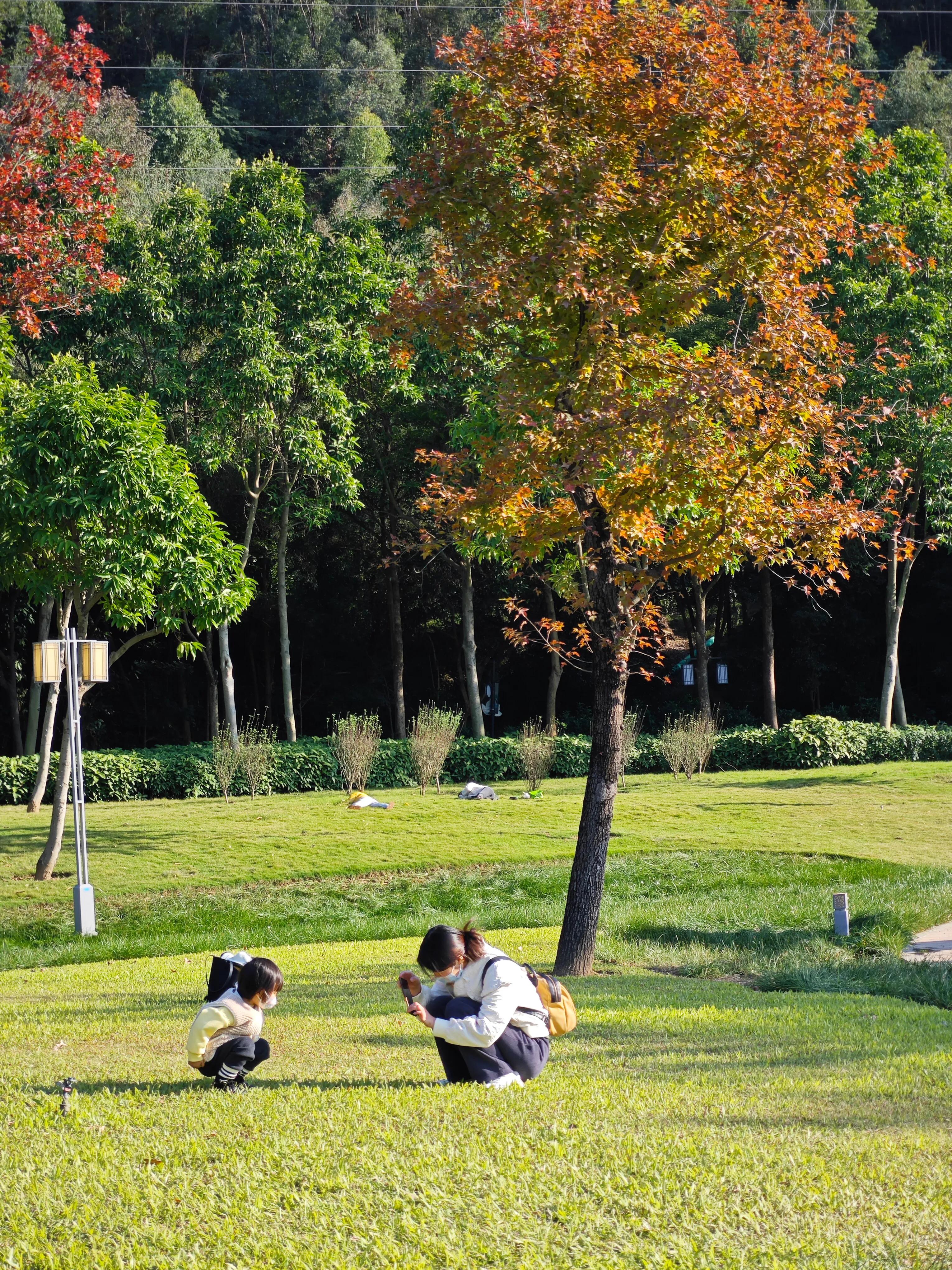 手拍世界作品专集,手拍世界283期