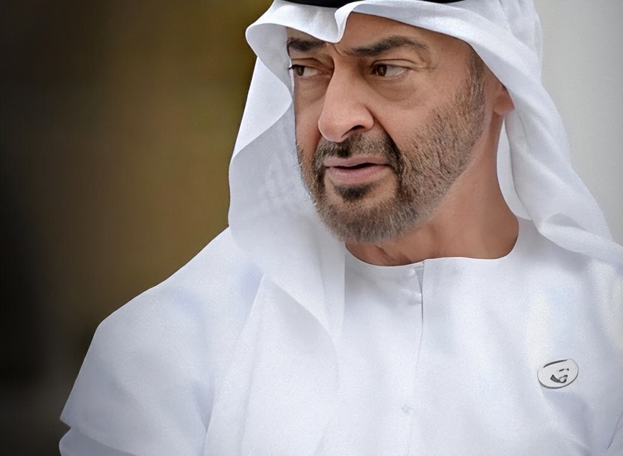 海湾“正主”：阿联酋新总统扎耶德，中东乱局的幕后大佬