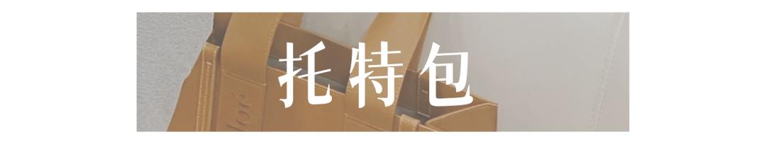 平价包包推荐小众学生大容量,包包推荐小众高级感平价托特包