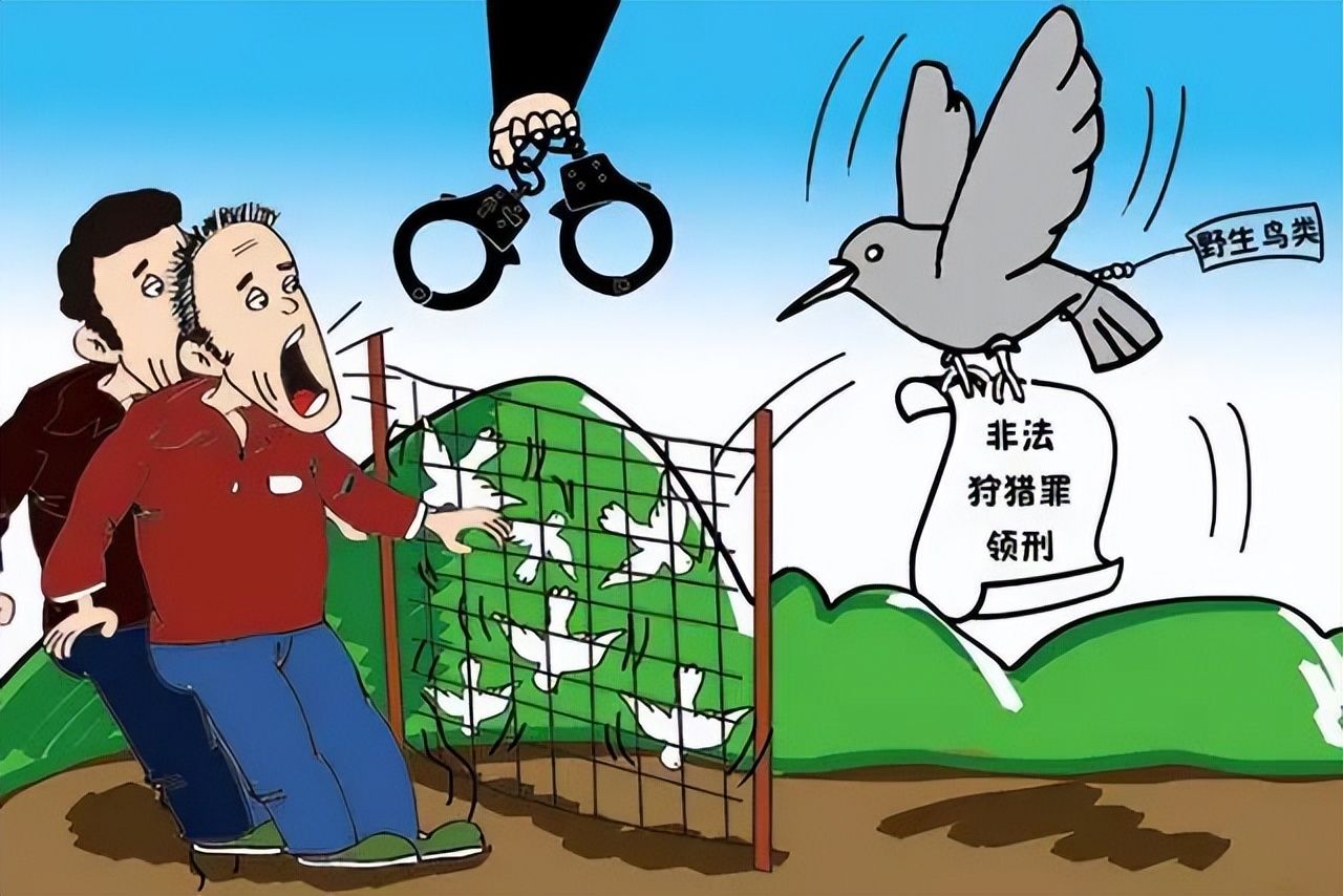 严惩破坏生态行为的后果,破坏生态红线100平立案标准