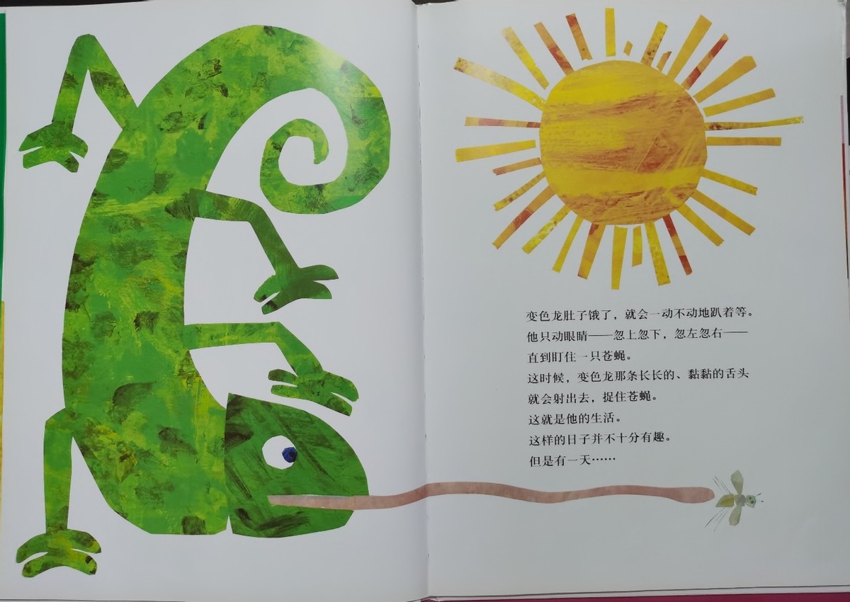 拼拼凑凑的变色龙绘本讲述,拼拼凑凑的变色龙绘本怎么导入