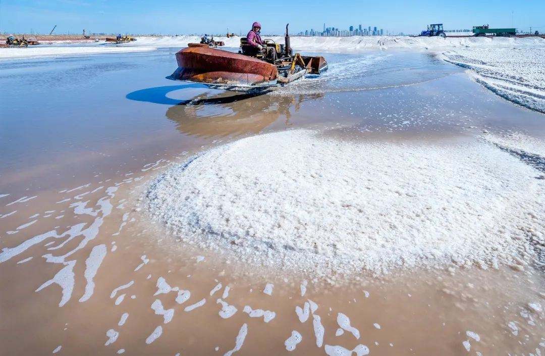 新疆的盐湖复活了吗,死海真实现状