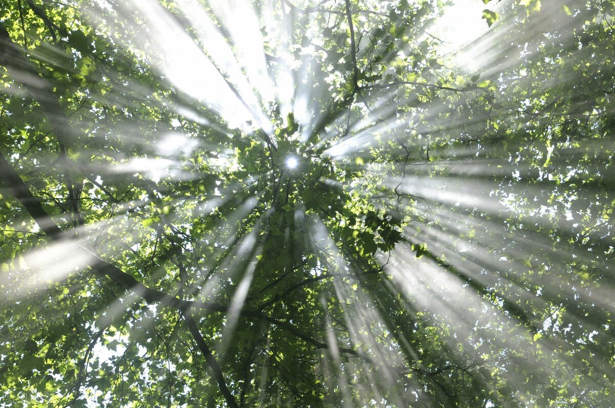 初中毕业的庄稼汉，成为十几亿资产公司的董事长，还是觉得大葱蘸酱最好吃