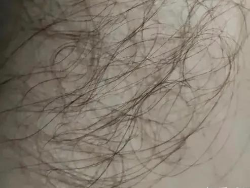 老瑶姜洗发水是智商税吗,洗发水的好坏之分哪种洗发水好用