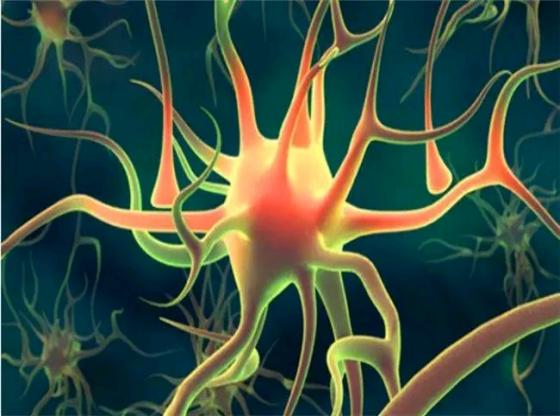 糖尿病神经病变吃甲钴胺能治好吗,糖尿病神经病变吃甲钴胺和什么药