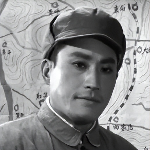 关于革命的小说红日简介,长篇小说红日沈振新的原型是谁