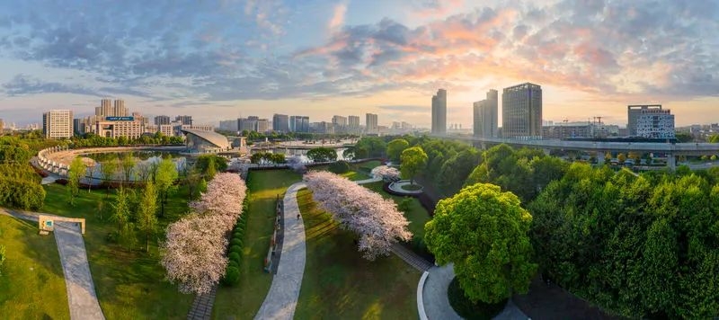 近乡情怯，归来仍是少年！