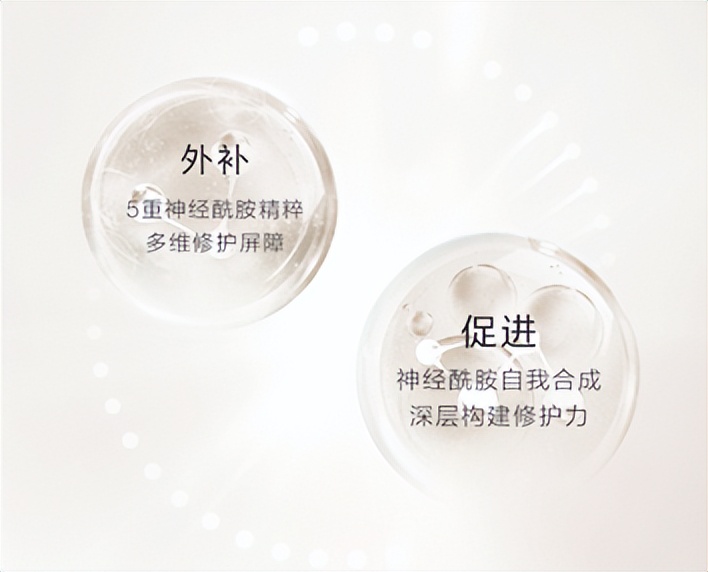 湾区羙好生活周报|能工巧艺,献浓情蜜意