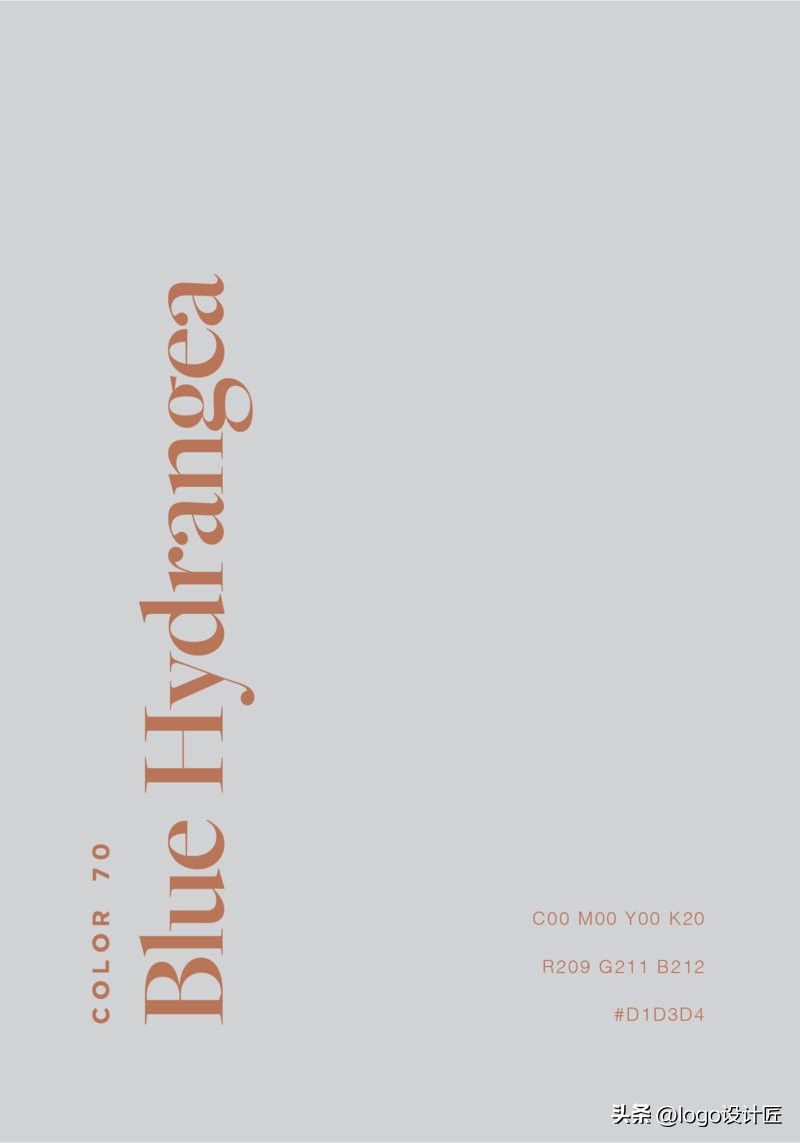 背景色和文字的色彩搭配,文字底色搭配高级感