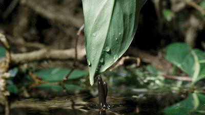 原来它们也有“性丑闻”,这片看完让我大开眼界