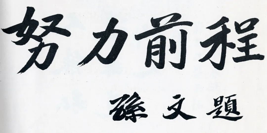 复旦大学117周年,走进复旦大学的经历